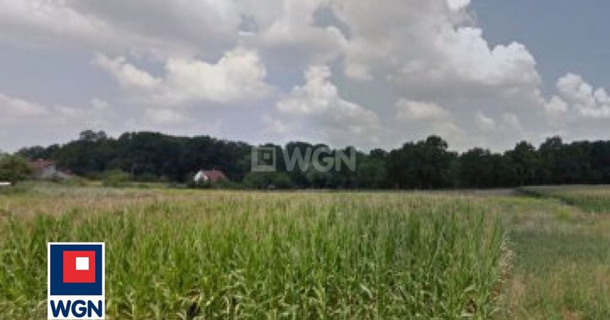 Działka na sprzedaż - Widok 2