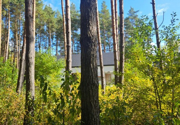 Telek, 1846 m²