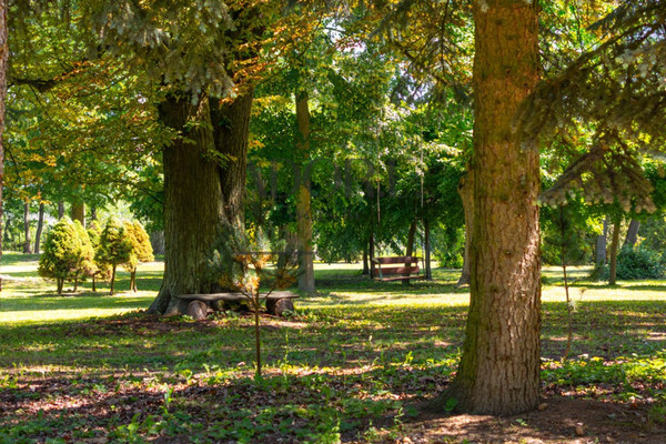 Grond, 25000 m²