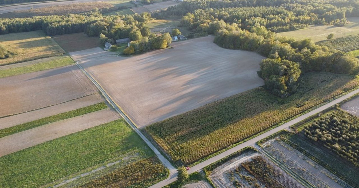 Działka na sprzedaż - Widok 2