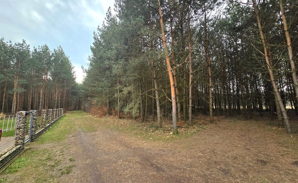 Działka na sprzedaż - Widok 2