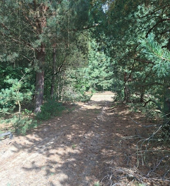 Plot photo for Działka na sprzedaż 26 300 m² | Bielino | Morizon.pl