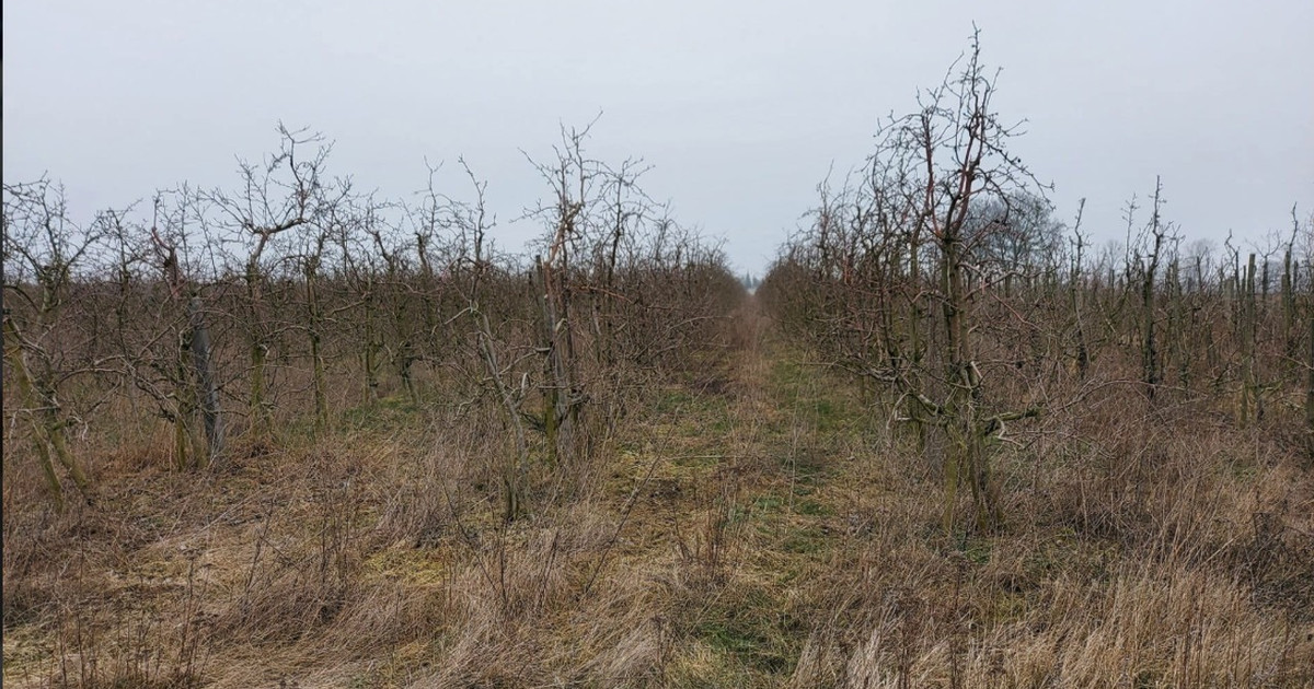 Działka na sprzedaż - Widok 2