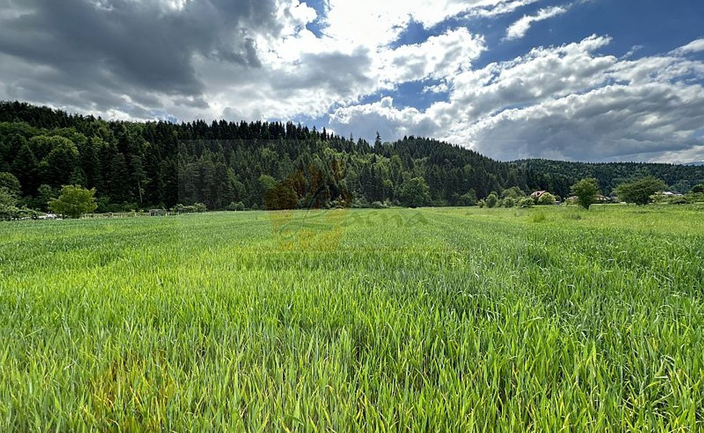 Działka na sprzedaż - Widok 2
