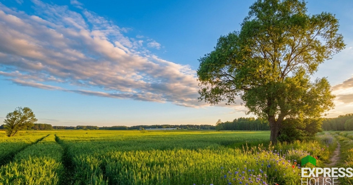 Działka na sprzedaż - Widok 2