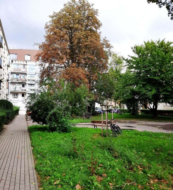 Mieszkanie – Mokotów - Widok 2