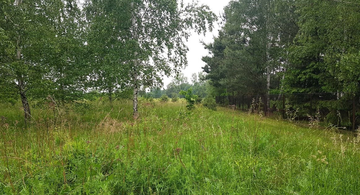 Działka na sprzedaż - Widok 2