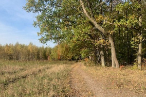 Działka bud. na sprzedaż - Chojnowski Park K. MPZP