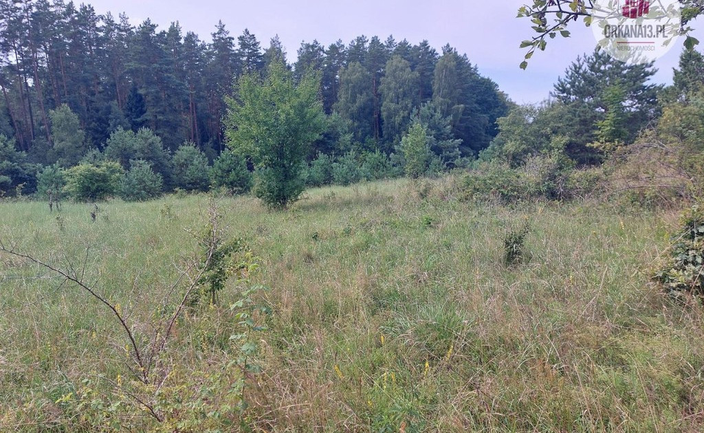Działka na sprzedaż - Widok 2
