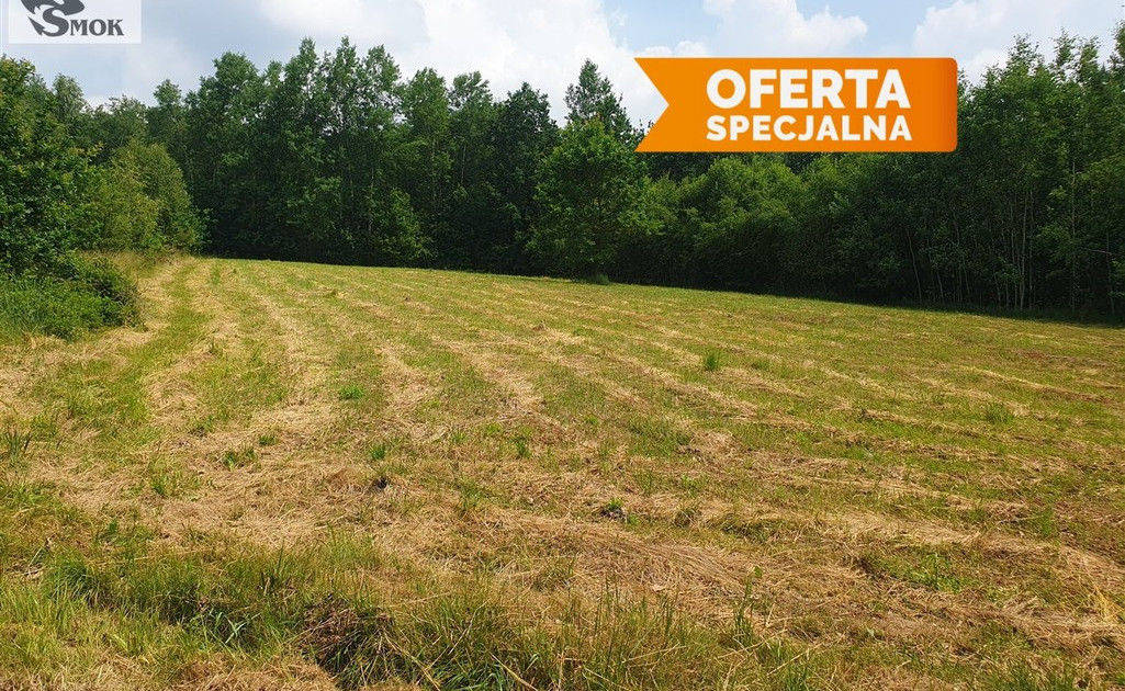 Działka na sprzedaż - Widok 2