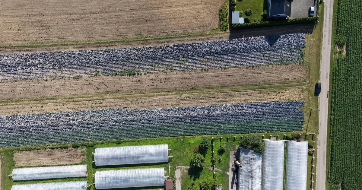 Działka na sprzedaż - Widok 2