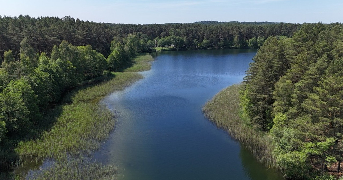 Działka na sprzedaż - Widok 2