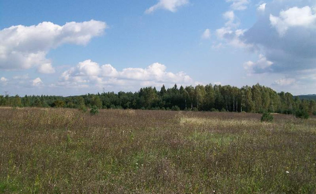 Działka na sprzedaż - Widok 2