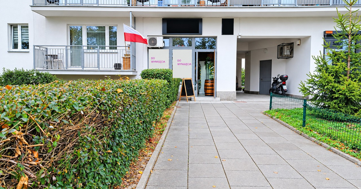 Lokal handlowy, usługowy do wynajęcia - Widok 2