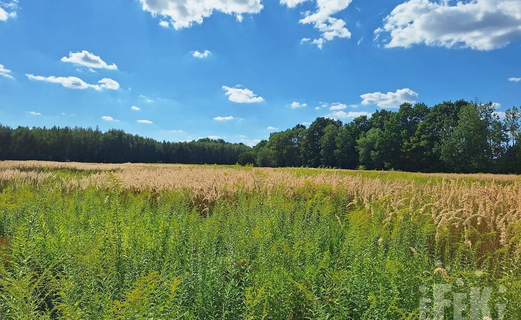 Działka na sprzedaż - Widok 2