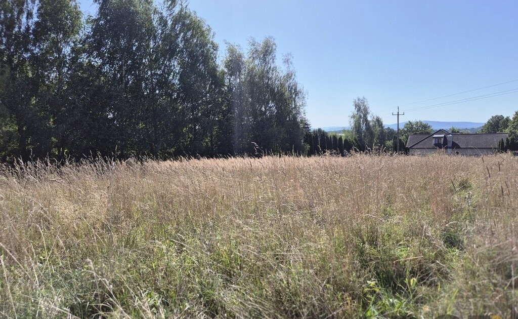 Działka na sprzedaż - Widok 2