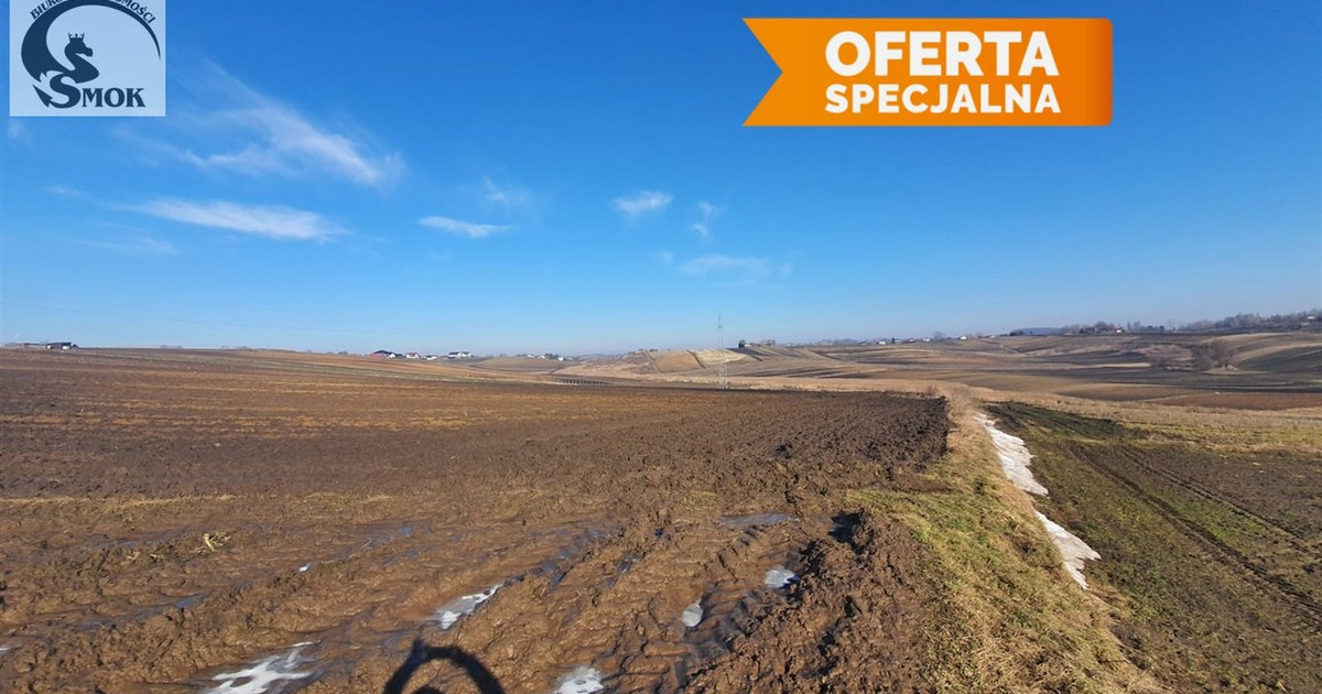 Działka na sprzedaż - Widok 2