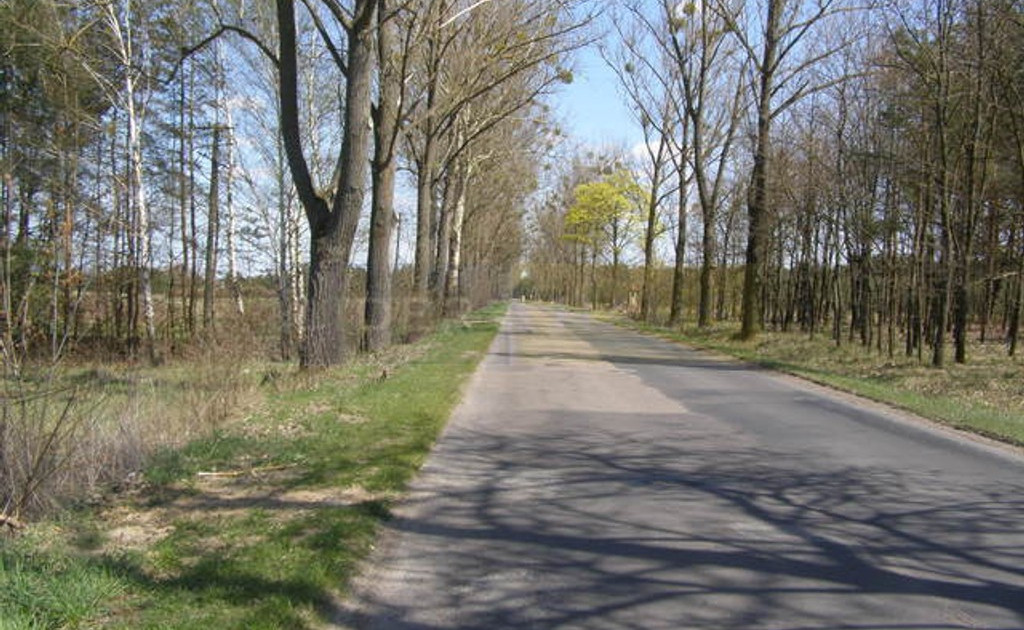 Działka na sprzedaż - Widok 2