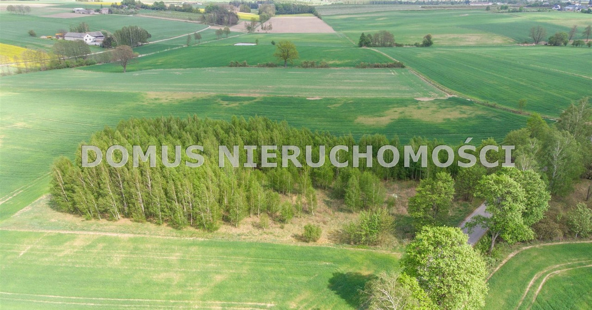 Działka na sprzedaż - Widok 2