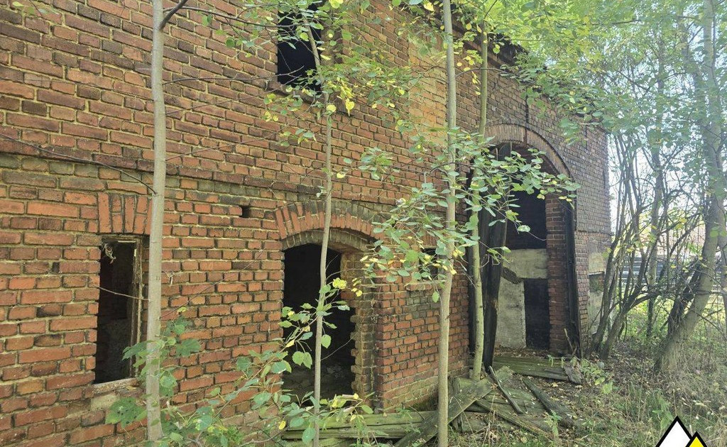 Dom – Olszyna - Widok 2