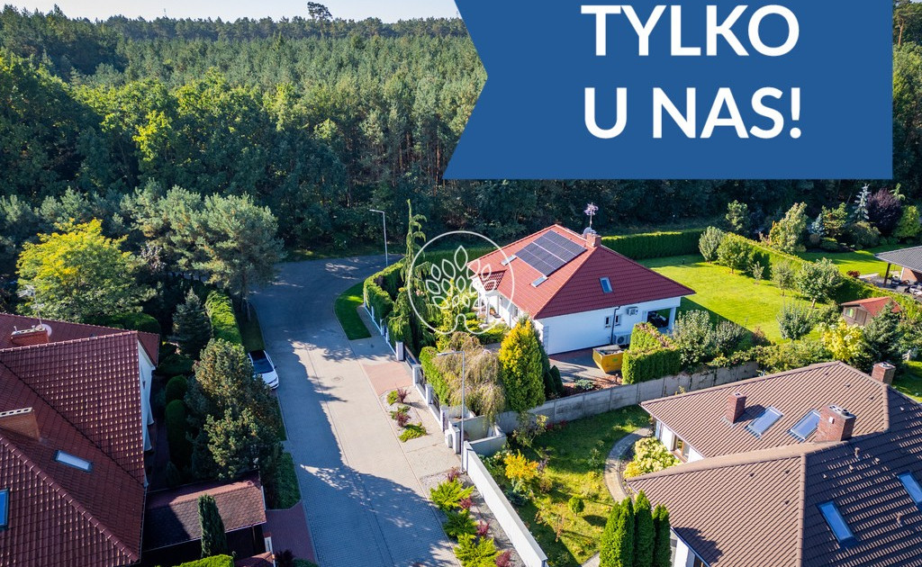Dom – Białe Błota - Widok 2