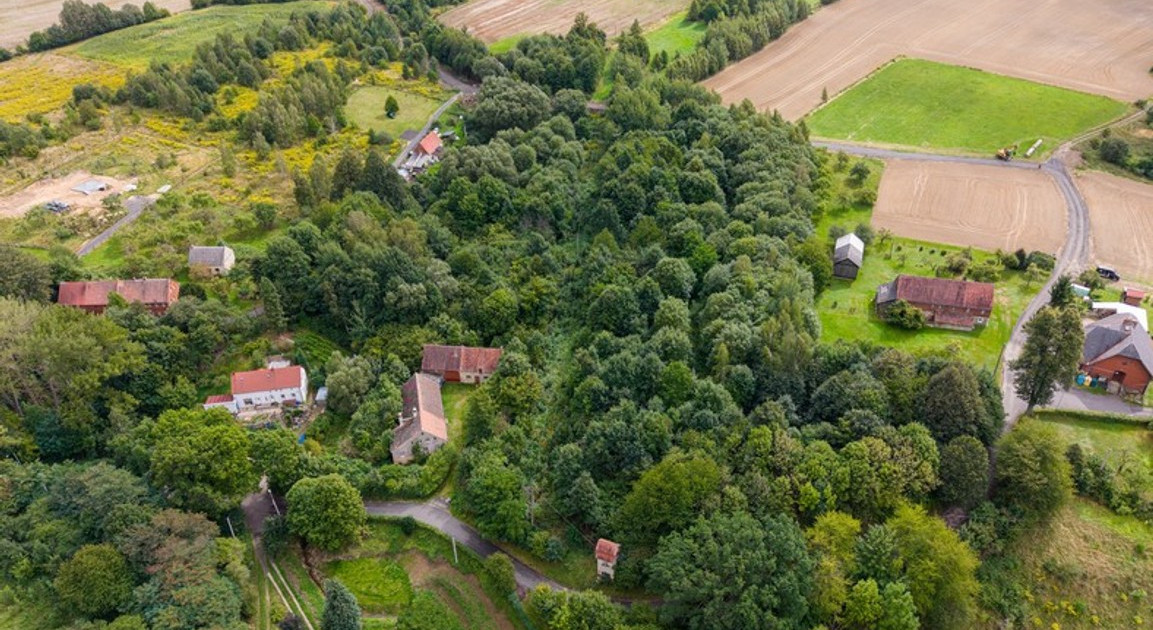 Dom – Olszyna, powiat lubański - Widok 2