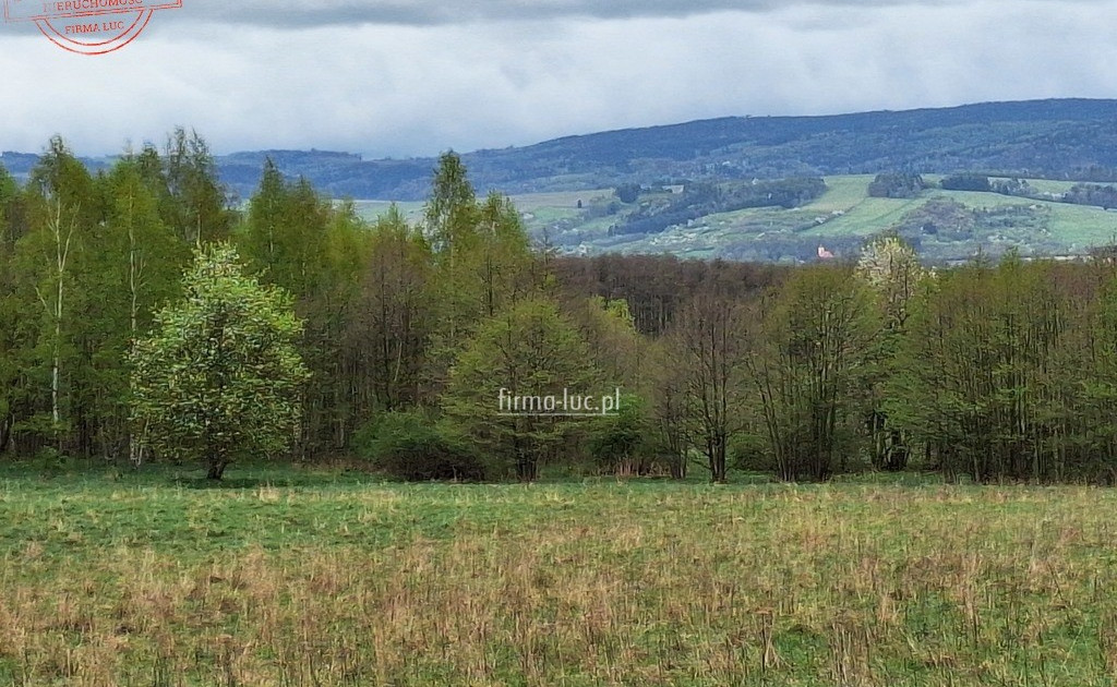 Działka na sprzedaż - Widok 2