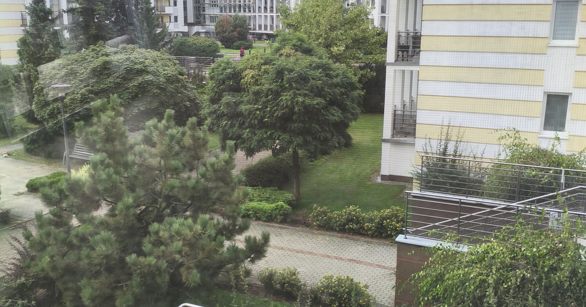 Mieszkanie – Nowe Miasto - Widok 2