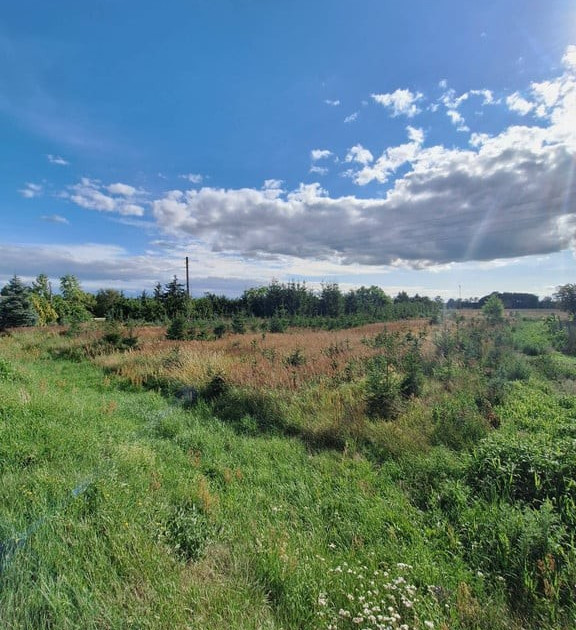 Działka na sprzedaż - Widok 2