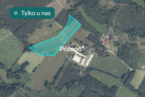 Działka inwestycyjna 3,39 ha | 12 km od granicy DE