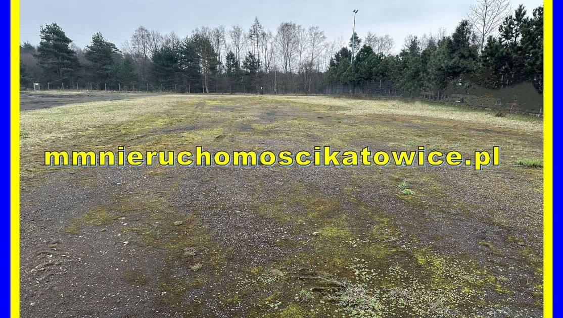Działka do wynajęcia - Widok 2