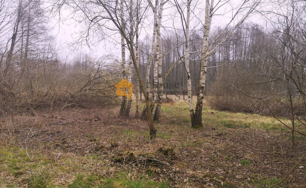 Działka na sprzedaż - Widok 2