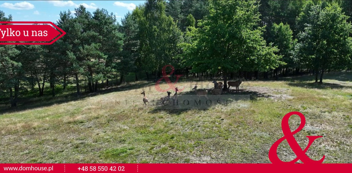 Gospodarstwo rolne na sprzedaż - Widok 2