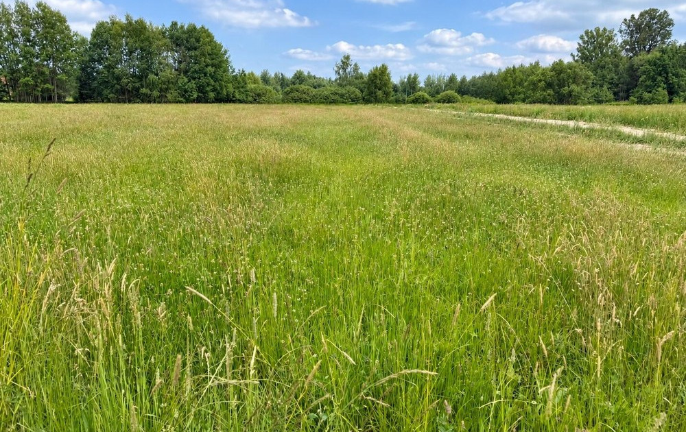 Działka na sprzedaż - Widok 2