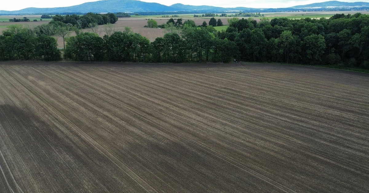 Działka na sprzedaż - Widok 2