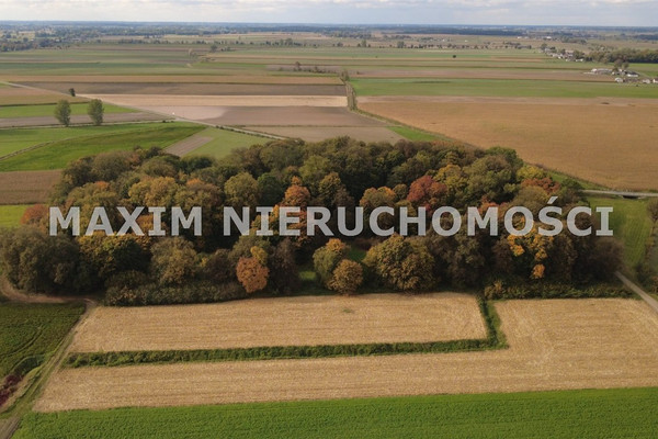 Zemljište, 34300 m²