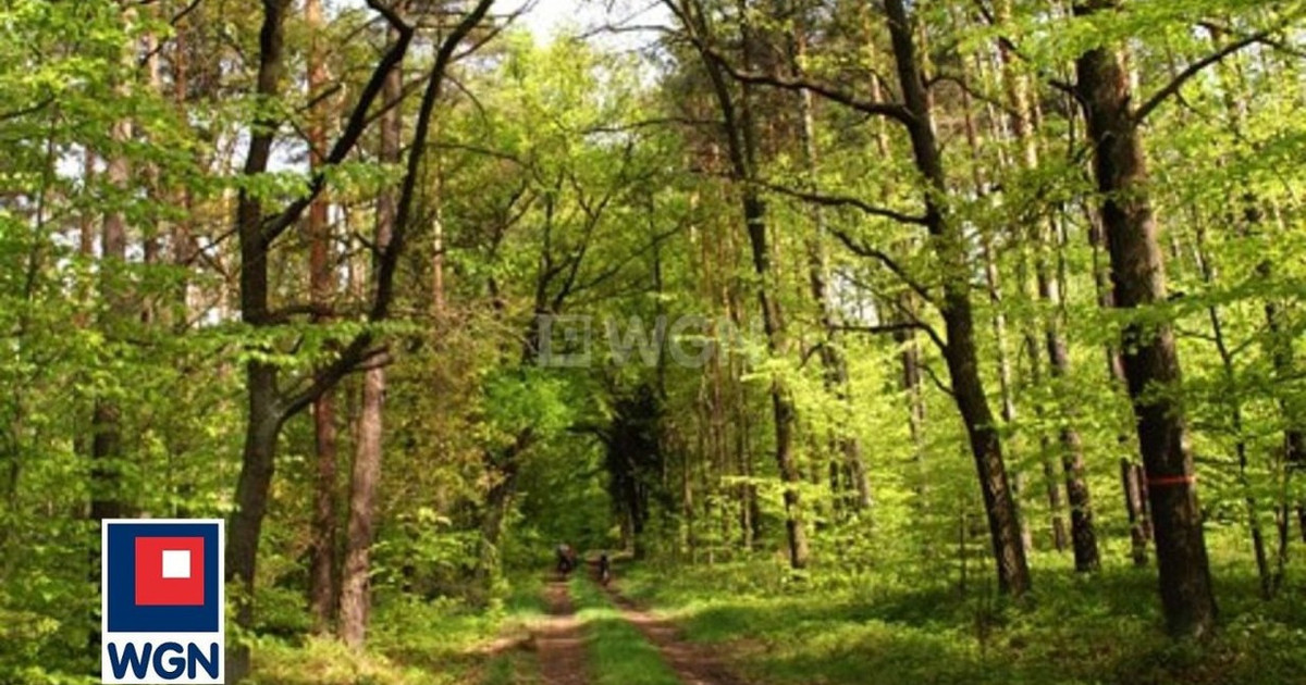 Działka na sprzedaż - Widok 2