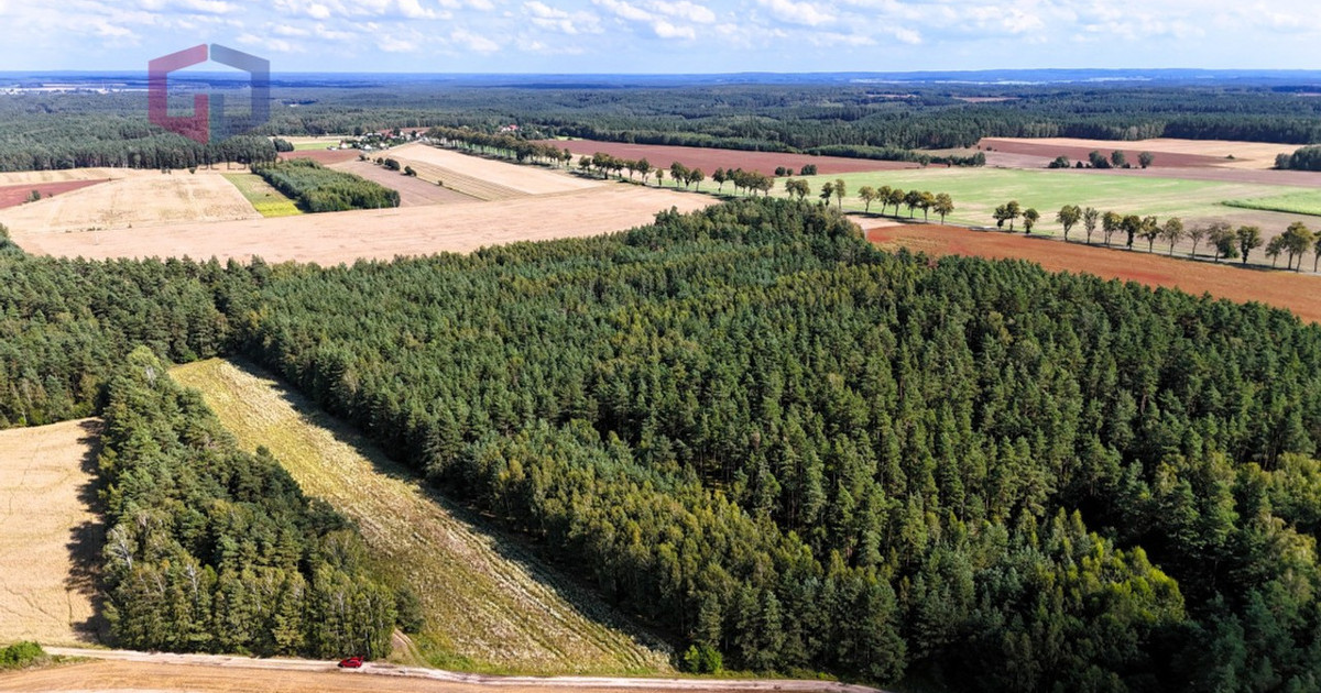 Działka na sprzedaż - Widok 2