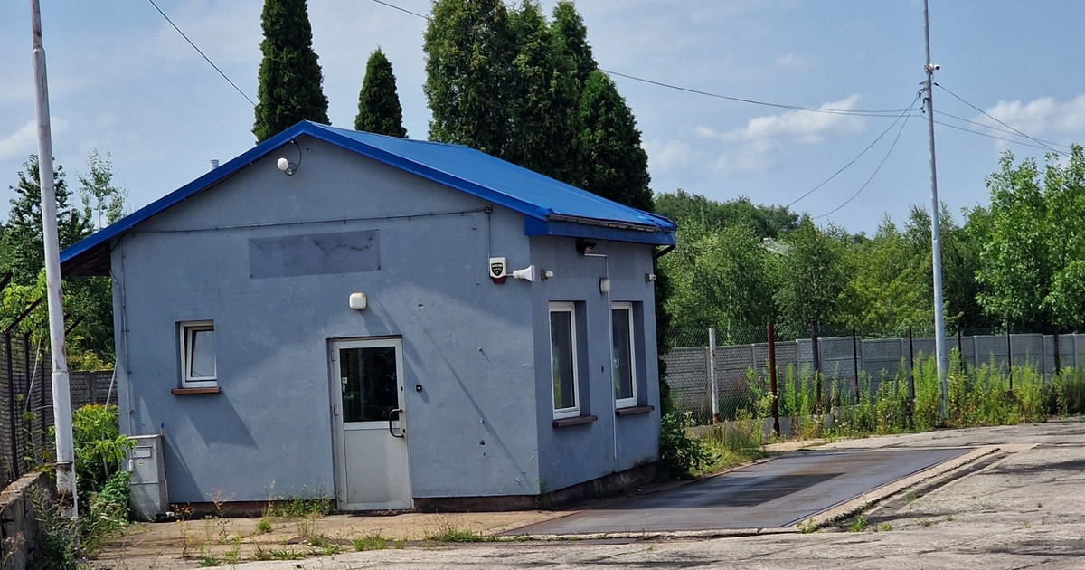 Działka do wynajęcia - Widok 2