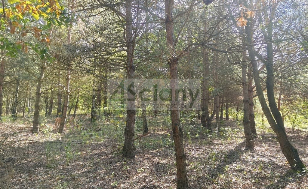 Działka na sprzedaż - Widok 2