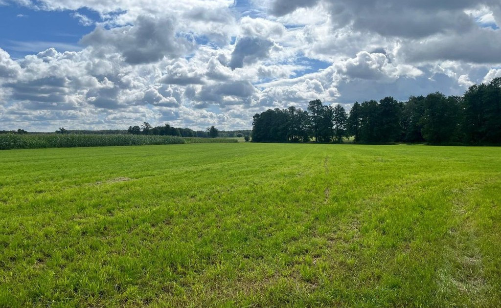 Działka na sprzedaż - Widok 2