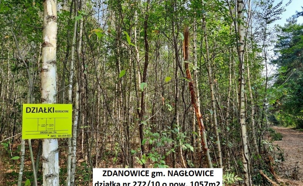 Działka na sprzedaż - Widok 2