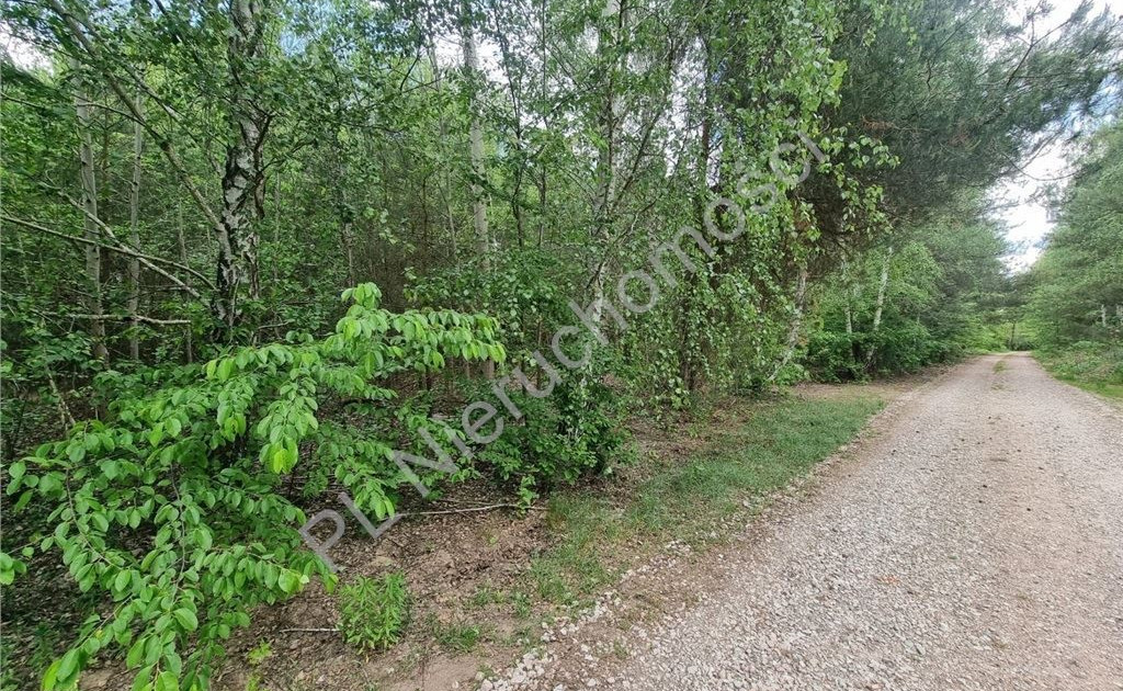 Działka na sprzedaż - Widok 2