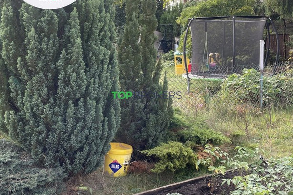Land, 300 m²