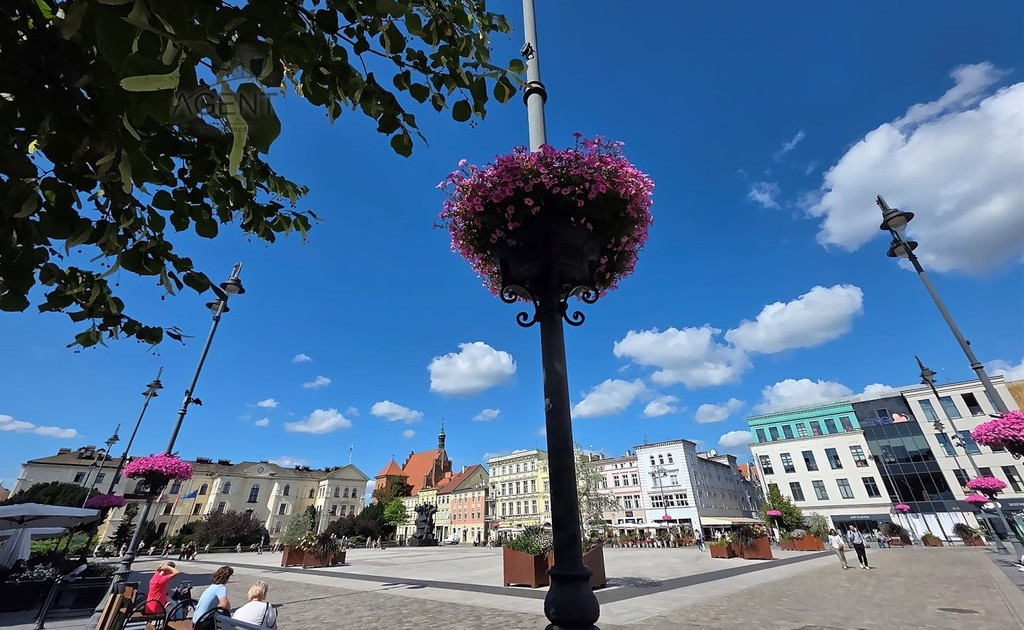 Lokal handlowy, usługowy do wynajęcia - Widok 2