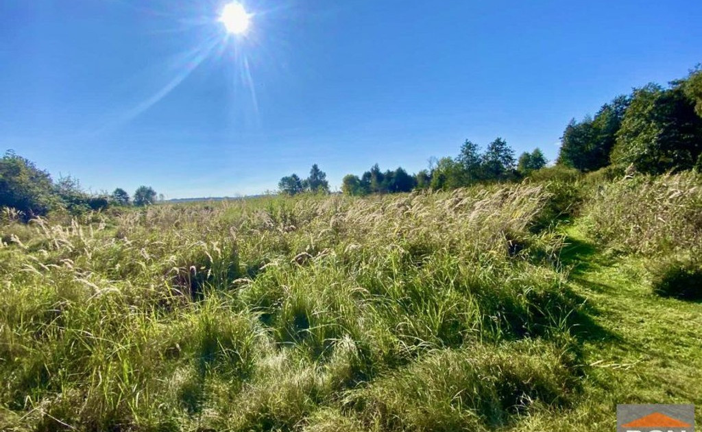 Działka na sprzedaż - Widok 2