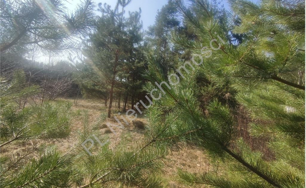 Działka na sprzedaż - Widok 2