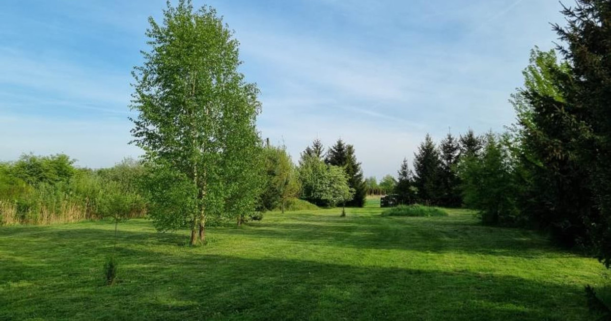 Działka na sprzedaż - Widok 2