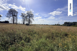 Działka rolna 4,33 ha – Marianów, gm. Chynów