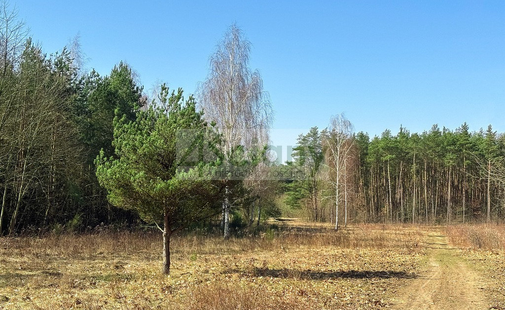 Działka na sprzedaż - Widok 2